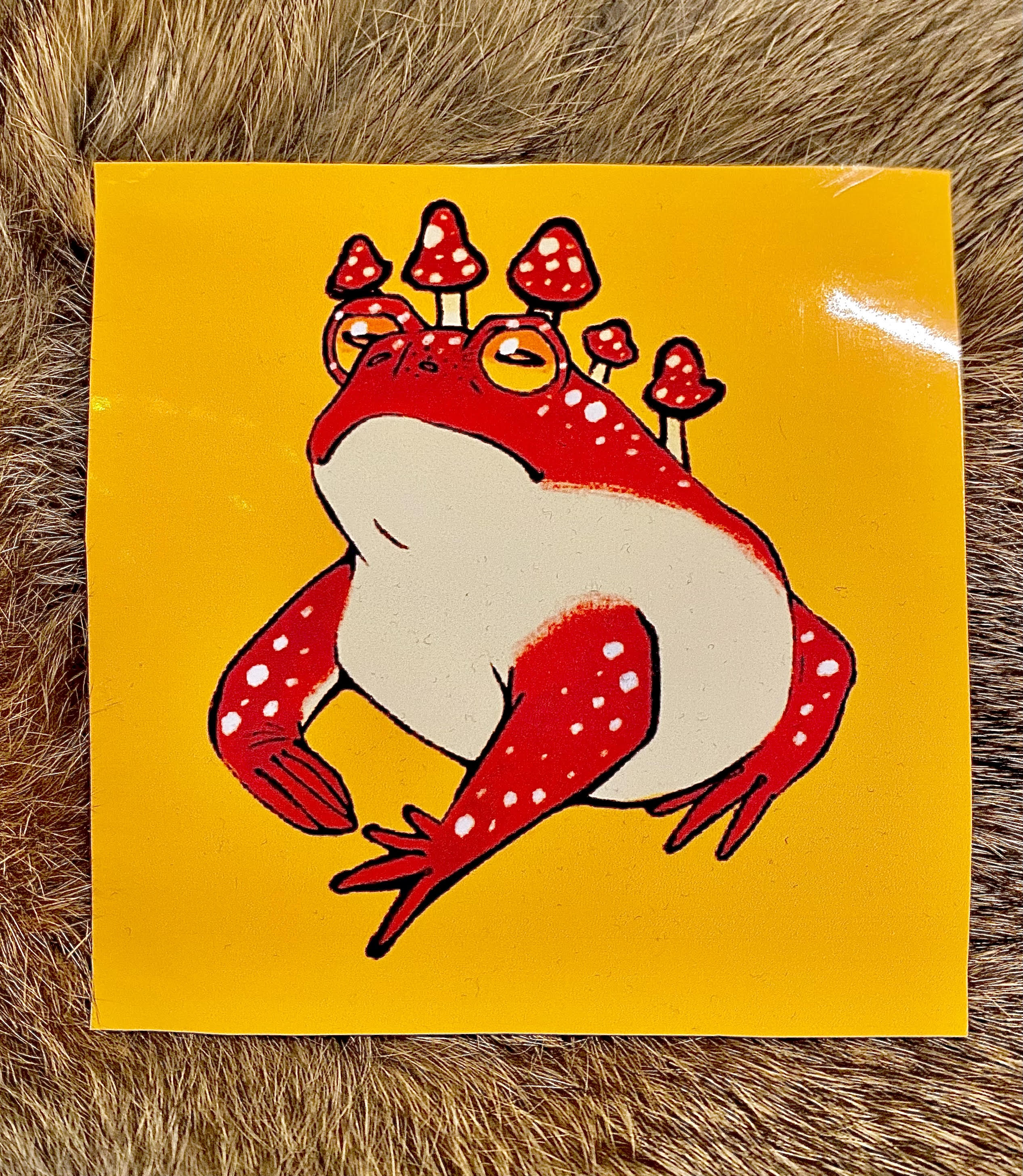 Mushroom Frog